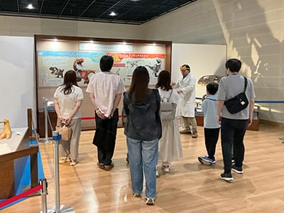 特別展ツアー「巡回展・ポケモン化石博物館 展示解説ツアー③」のイメージ