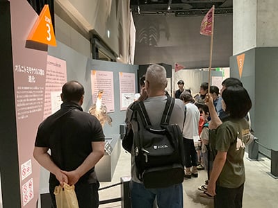 特別展ツアー「特別展の展示解説　第2回」のイメージ