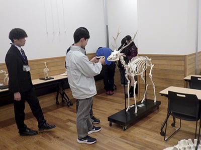 セミナーPLUS「系統における骨の保守性と進化的変化」のイメージ