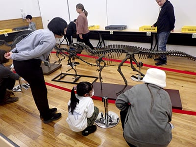 博物館自然教室「恐竜の骨化石をしらべつくせ！」のイメージ