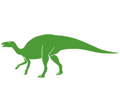 Fpdm 博物館自然教室 ジュラ紀の植物化石をみよう Fpdm 博物館自然教室 ジュラ紀の植物化石をみよう