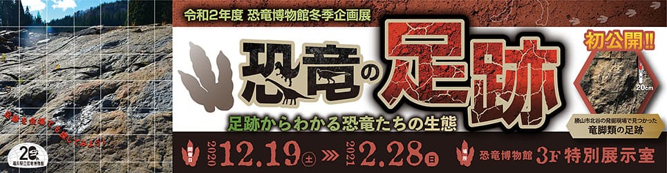 2020年度冬期企画展「恐竜の足跡」