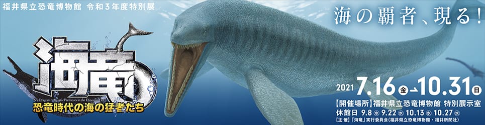 2021年度特別展「海竜　恐竜時代の海の猛者たち」