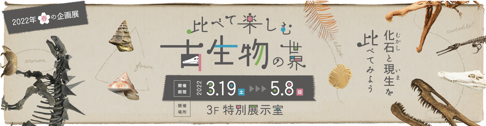 2022年春期企画展「比べて楽しむ古生物の世界」