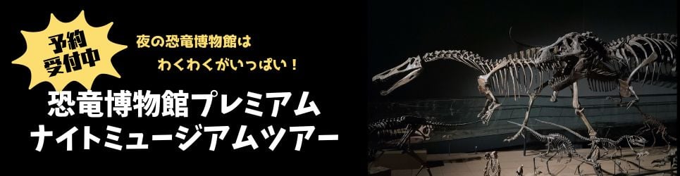 ナイトミュージアム