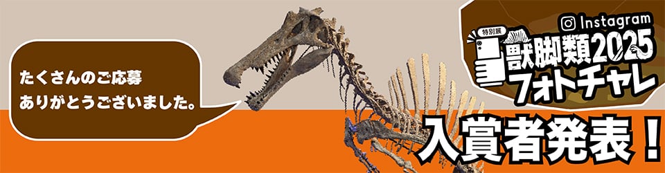 特別展「獣脚類2025」フォトチャレ 結果発表！