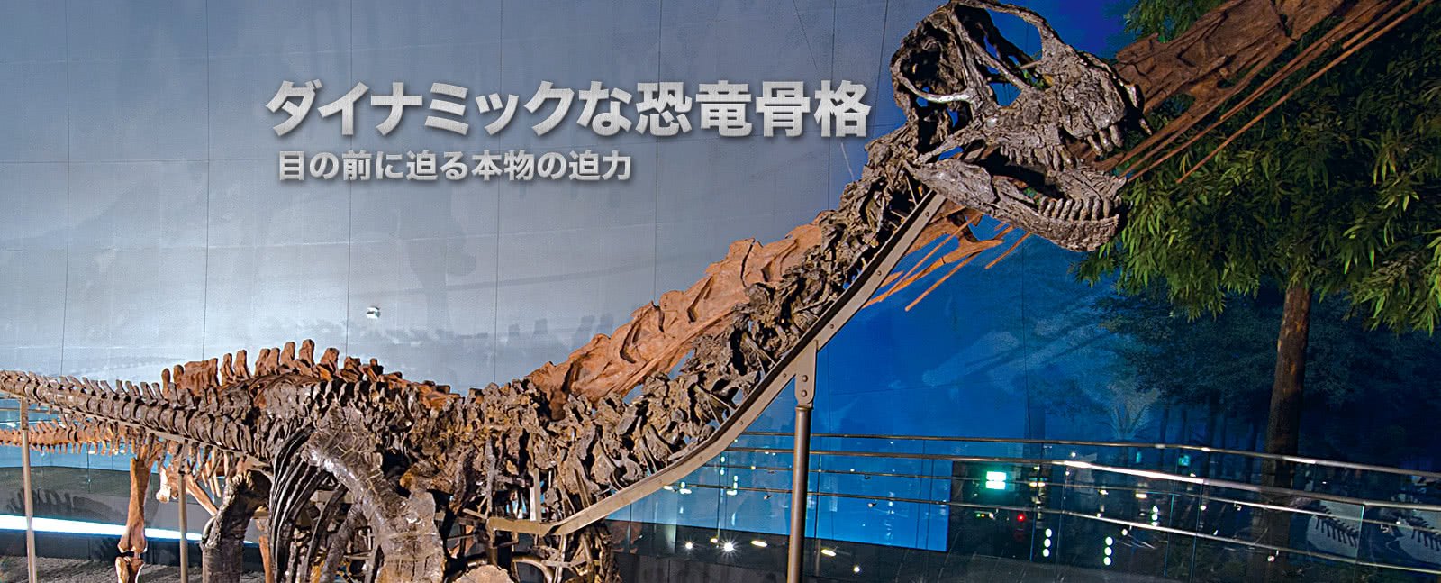 ツアー：福井県立恐竜博物館など