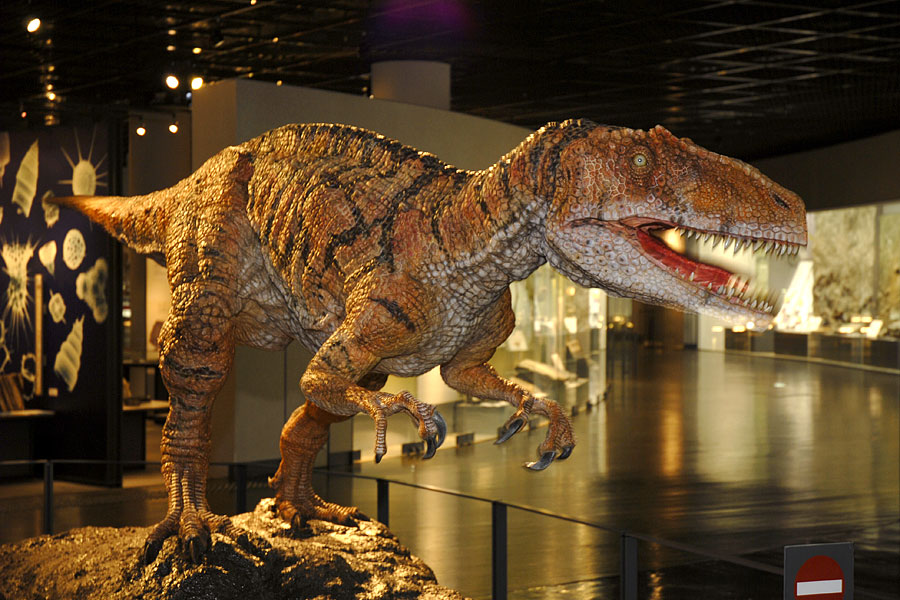 恐竜ロボット フクイラプトル がやってきた お知らせ 新着情報 Fpdm 福井県立恐竜博物館