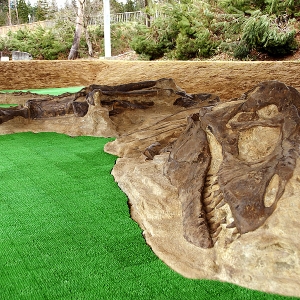 「ティラノガーデン」に横たわるティラノサウルス骨格レプリカ