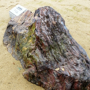 「ティラノガーデン」の岩石、縞状鉄鉱