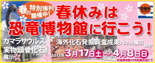 春休みは恐竜博物館へいこう！研究復元中のカマラサウルスの頭骨実物化石の展示や海外恐竜調査パネル展を行っています。