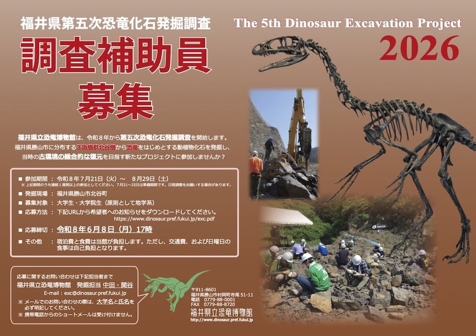 第五次恐竜化石発掘調査における調査補助員募集