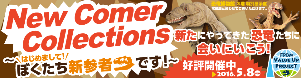 2015新着標本展「Newcomer Collections ～ はじめまして！ぼくたち新参者です！～」