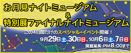 恐竜博物館の特別展 お月見＆いそがナイトミュージアム開催。満月のこの季節、ふらりとお越しになりませんか？