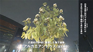 ビデオ『恐竜が生きていた森 植物界の主役交代』