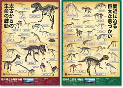 リニューアルとなった恐竜博物館オリジナル骨格ポスター