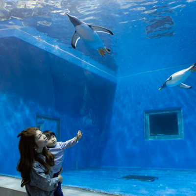 越前松島水族館