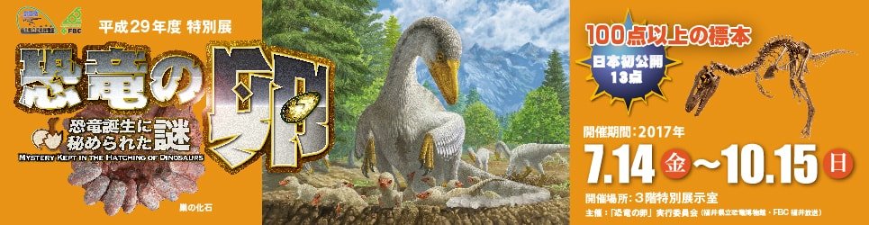 2017年度特別展「恐竜の卵 ～恐竜誕生に秘められた謎～」