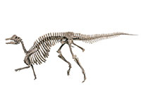 画像：ニッポノサウルス・サハリネンシス