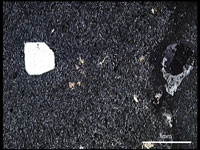 画像：ハリ質塊状凝灰岩（薄片）