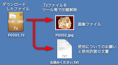 ダウンロード後の操作について