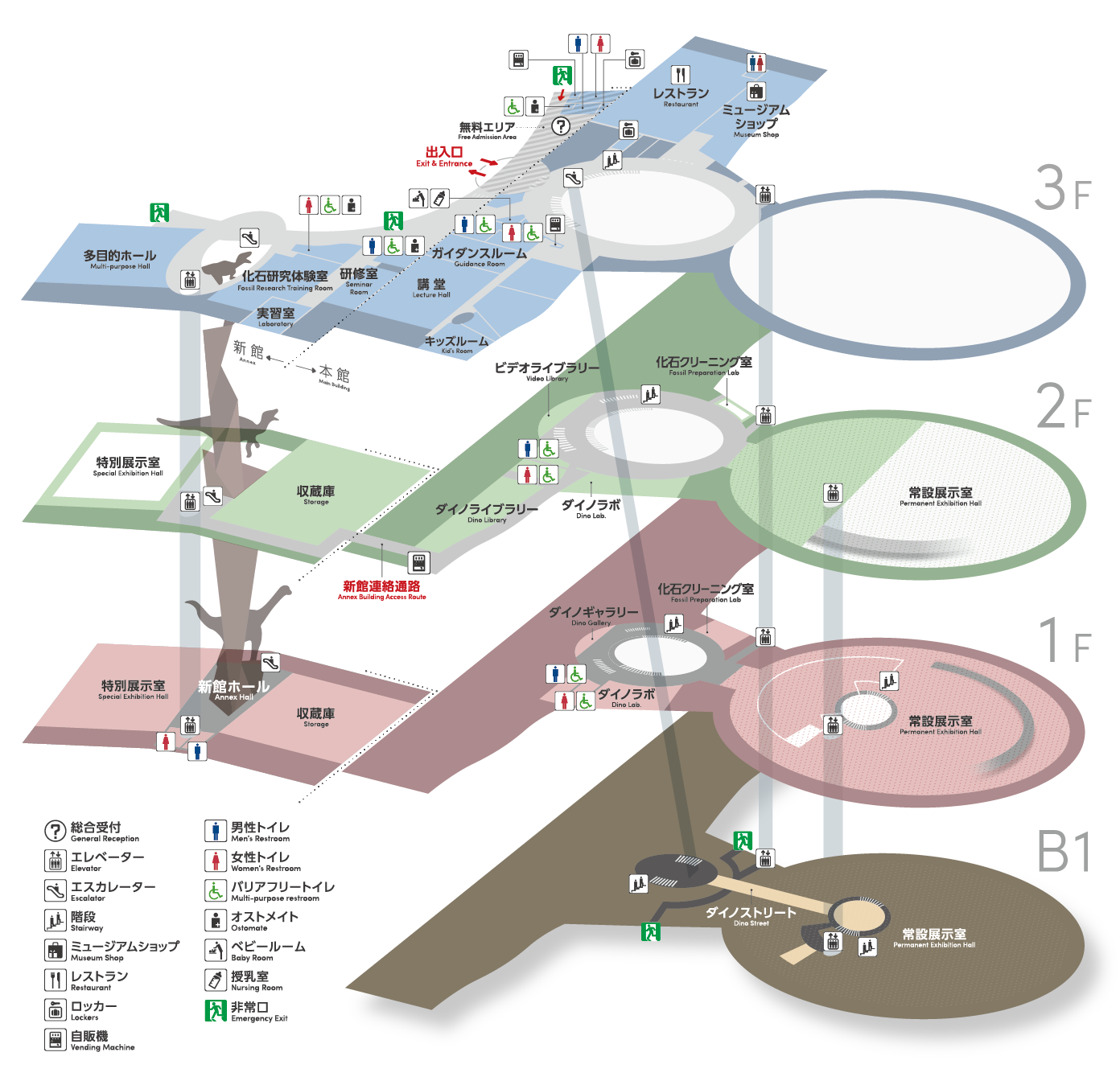 恐竜博物館 施設概略図