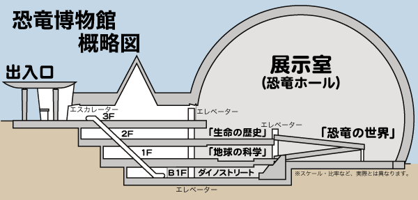 恐竜博物館 施設概略図