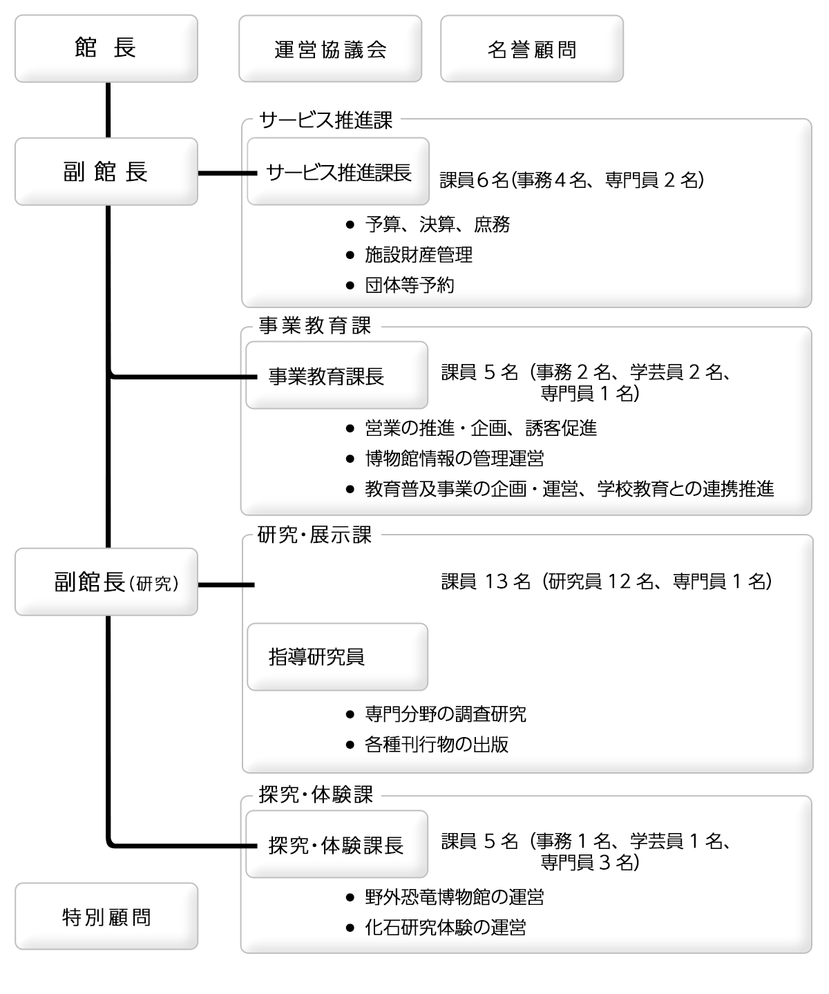 福井県立恐竜博物館 組織図