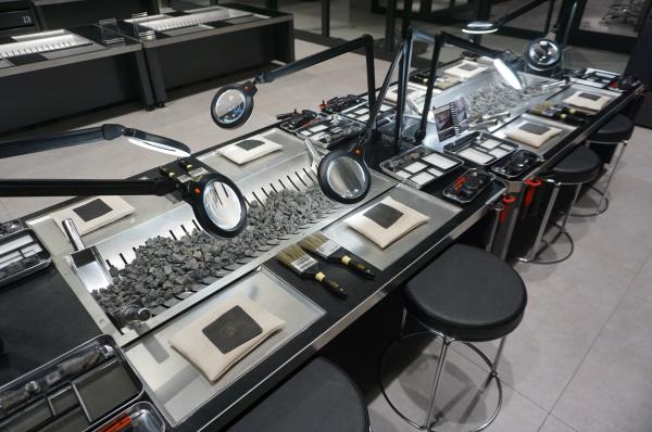 化石研究体験（化石発掘プラス）