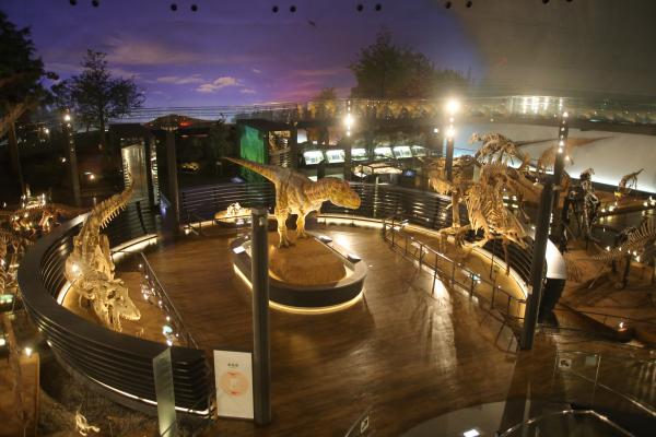 展示室1F「恐竜の世界」②