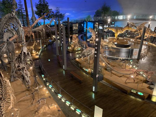 展示室1F「恐竜の世界」④