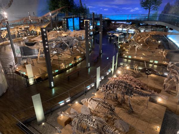 展示室1F「恐竜の世界」⑤