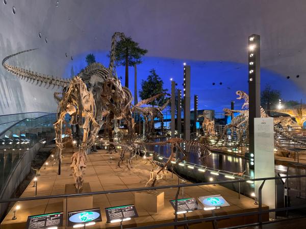 展示室1F「恐竜の世界」⑥