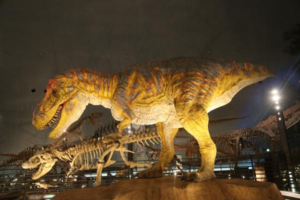 ティラノロボット②