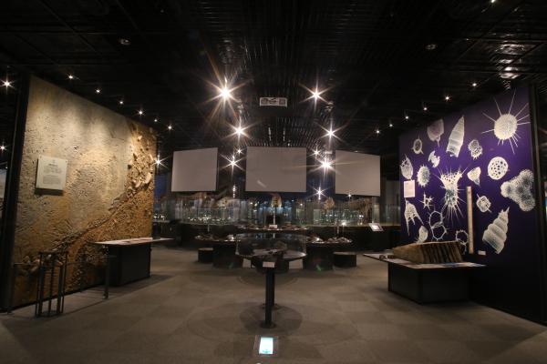 展示室1F「地球の科学」