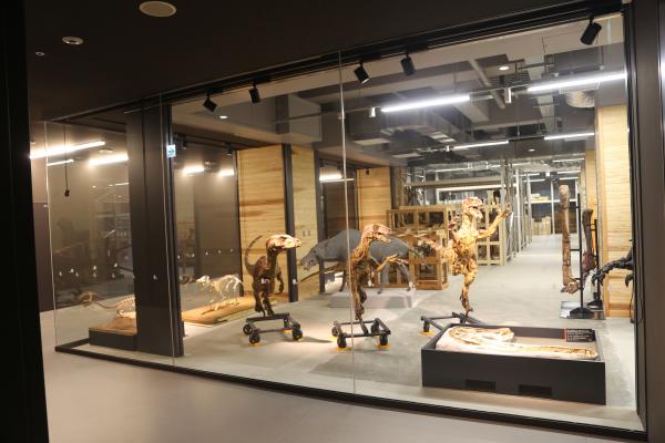 新館 見える収蔵庫