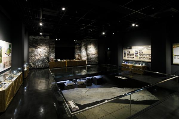 野外恐竜博物館⑧