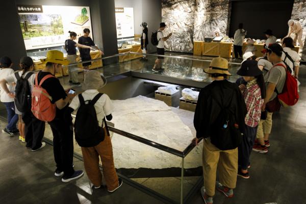 野外恐竜博物館⑨