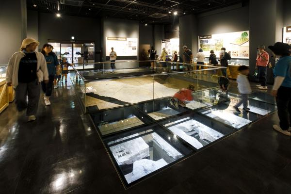 野外恐竜博物館⑩