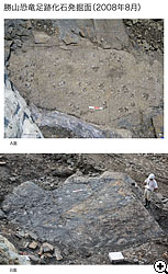 勝山恐竜足跡化石発掘面（2008年8月）