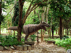 プーウィアン恐竜博物館の裏にいました