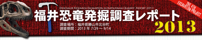 福井恐竜発掘調査リポート2013