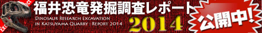 福井恐竜発掘調査レポート2014