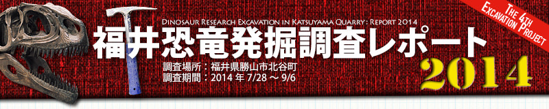 福井恐竜発掘調査リポート2014