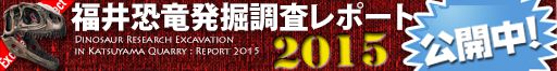 福井恐竜発掘調査レポート2015