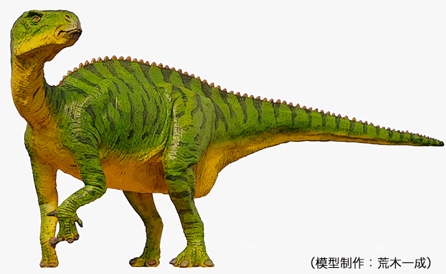 コシサウルスの生体復元模型（模型制作：荒木一成）