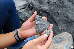 岩の中から発見された化石