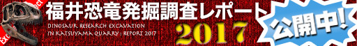 福井恐竜発掘調査レポート2017