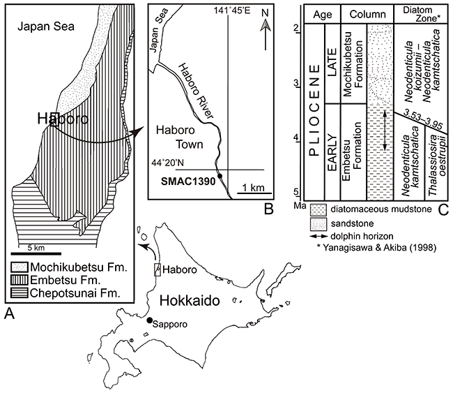 図1.発見された場所　羽幌川河床　地層は遠別層