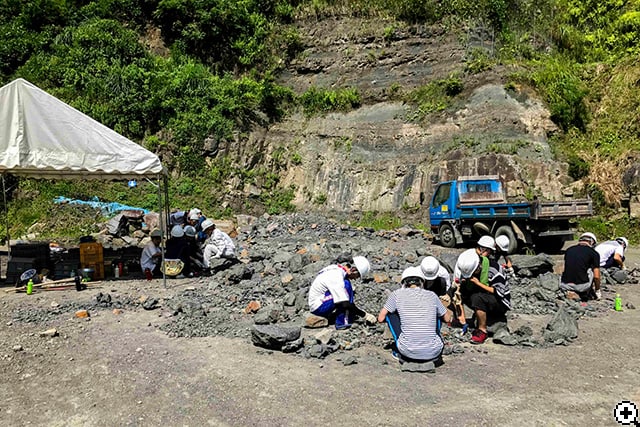 発掘調査。ハンマー隊の1員として恐竜化石の発見を目指します（写真は昨年の様子）